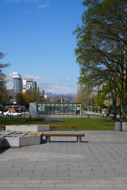 Odori Park