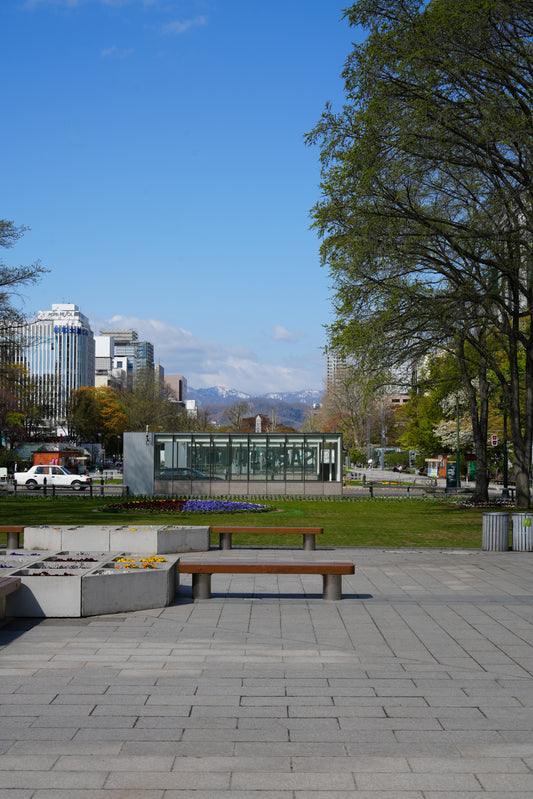 Odori Park