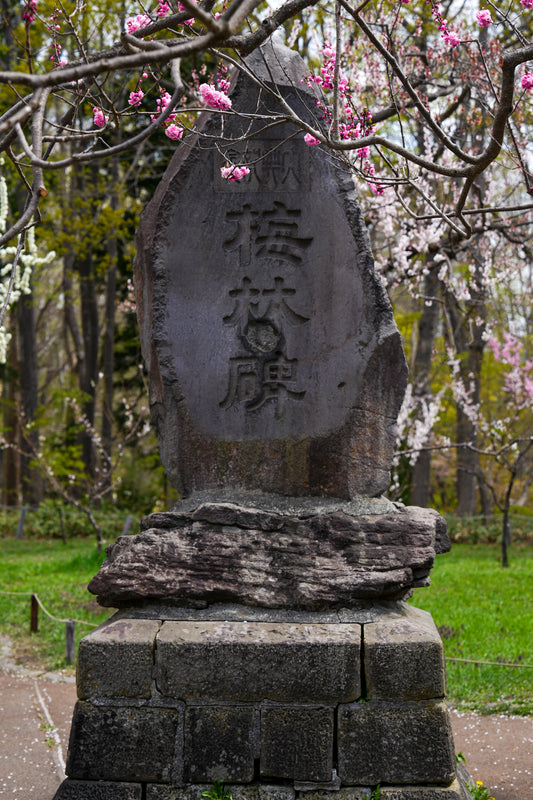 Maruyama Park Stone