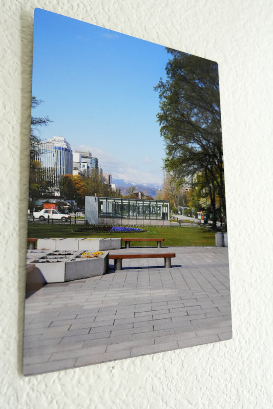 Odori Park
